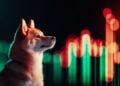 DOGE Price Surges by 10% Following Musk's Comment in Pennsylvania