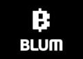 What is Blum Coin?
