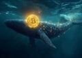 Une baleine Bitcoin s'est réveillé après 14 ans et a transféré plus de $2,1 milliards en BTC vers 2 adresses le 4 juillet.