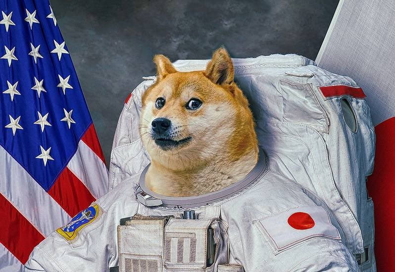 Tranzacții în spațiu cu Dogecoin. SpaceX acceptă DOGE ca metodă de plată
