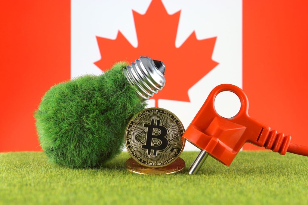 Canada: o firmă plănuiește să planteze copaci, care corespund investițiilor în Bitcoin ETF