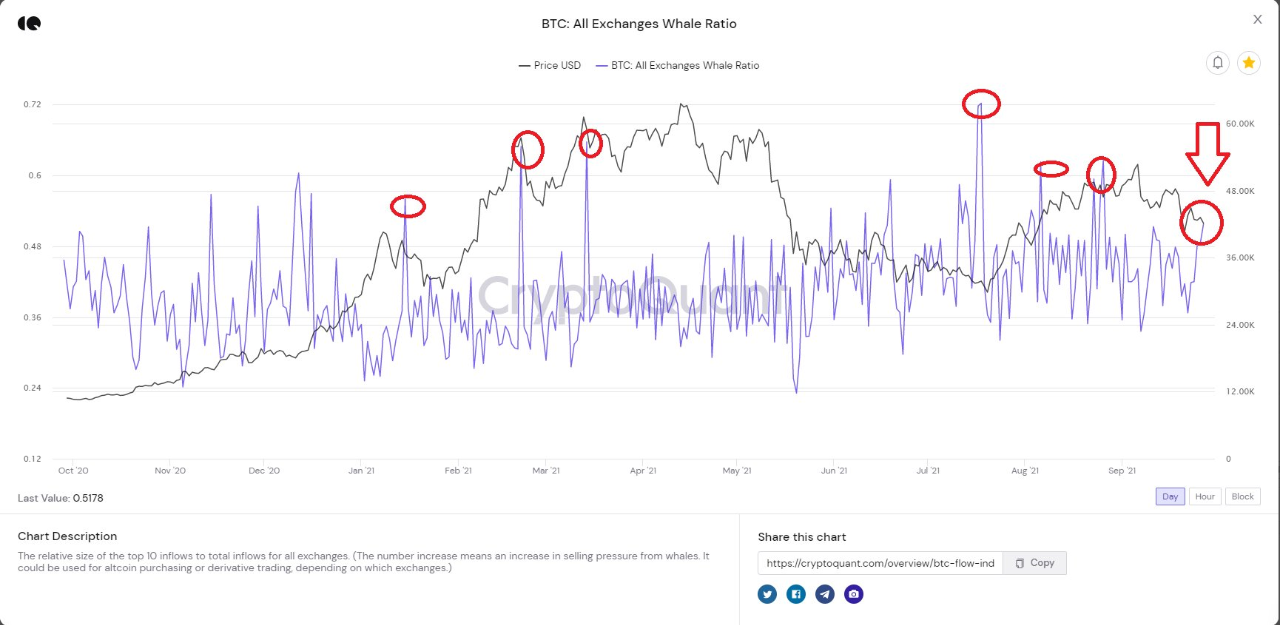 Bitcoin: balenele mută valori record de monede BTC. Volatilitatea ar putea atinge niveluri record