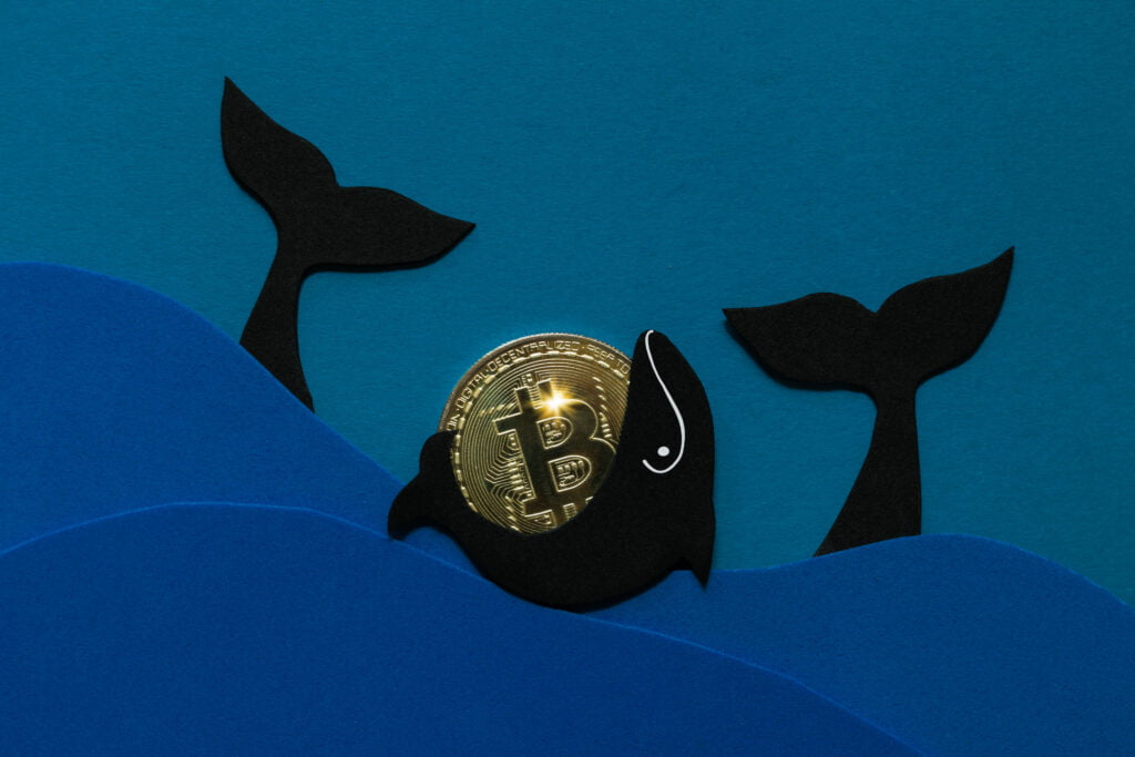 Bitcoin: indicatorul care monitorizează balenele sugerează acumulare bullish - piața așteaptă cucerirea vârfului de la 67k