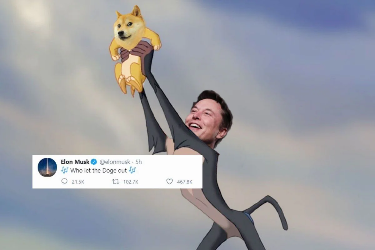 „Cine a lăsat Doge să iasă afară?” - unul dintre meme-urile postate de Elon Musk pe Twitter | www.twitter.com/elonmusk