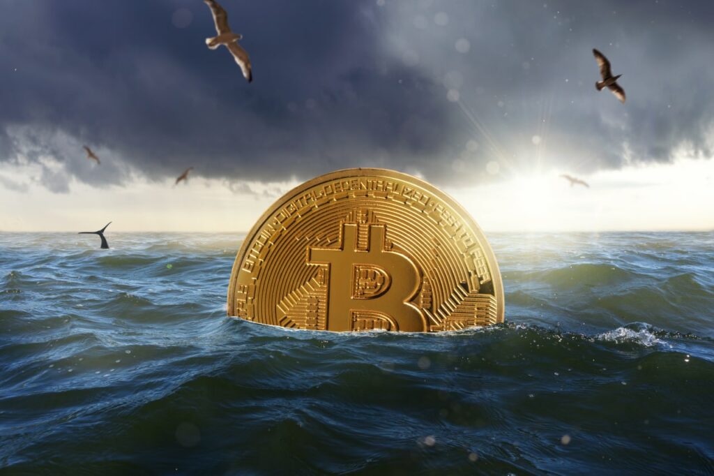 Bitcoin: Doar 49% dintre portofele sunt pe profit - 5 lucruri de urmărit